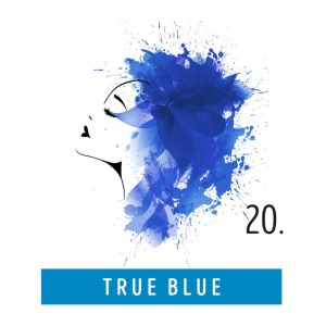 FUNKY COLOR toner odżywka koloryzująca w kremie 100 ml | 20 True Blue - image 2