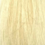 ALTER EGO BLONDEGO Pure Diamond Lift toner rozjaśniający 60 ml | HL.0 - 3