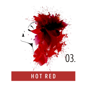 FUNKY COLOR toner odżywka koloryzująca w kremie 100 ml | 03 Hot Red - image 2