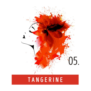 FUNKY COLOR toner odżywka koloryzująca w kremie 100 ml | 05 Tangerine - image 2