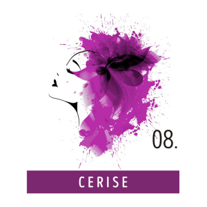 FUNKY COLOR toner odżywka koloryzująca w kremie 100 ml | 08 Cerise - image 2