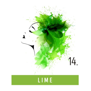 FUNKY COLOR toner odżywka koloryzująca w kremie 100 ml | 14 Lime - image 2