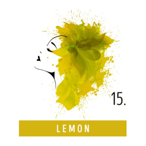 FUNKY COLOR toner odżywka koloryzująca w kremie 100 ml | 15 Lemon - image 2