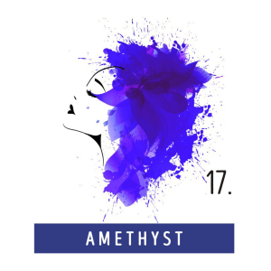 FUNKY COLOR toner odżywka koloryzująca w kremie 100 ml | 17 Amethyst - image 2