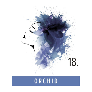 FUNKY COLOR toner odżywka koloryzująca w kremie 100 ml | 18 Orchid - image 2