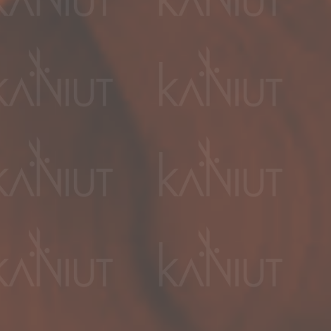 BY FAMA ABSOLUTE profesjonalna trwała farba do włosów 80 ml | 8.433 - 2