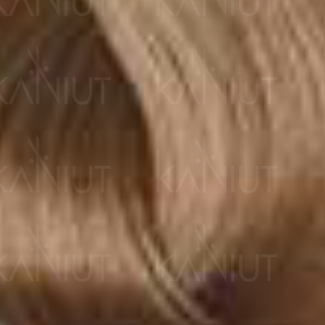 BY FAMA ABSOLUTE profesjonalna trwała farba do włosów 80 ml | 9.17 - 2