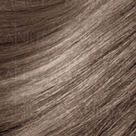 MONTIBELLO DENUEE trwała farba do włosów bez amoniaku 60 ml | 8.23 - 2