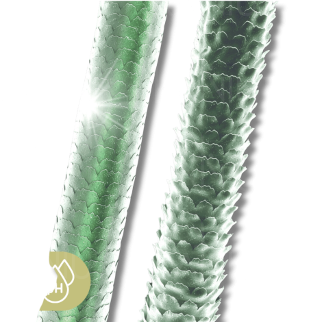 MONTIBELLO ECLAT półtrwała kwaśna farba bez amoniaku 60 ml | 5.5 - 7