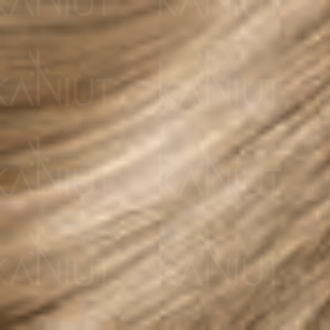 MONTIBELLO UNDER trwała wegańska farba do włosów 60 ml | 10.0 - 2