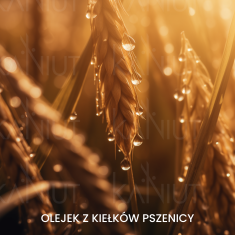 FAIPA ROMA SICURA PROFESSIONAL Creme Color farba do włosów 120 ml | 9.43 - 5