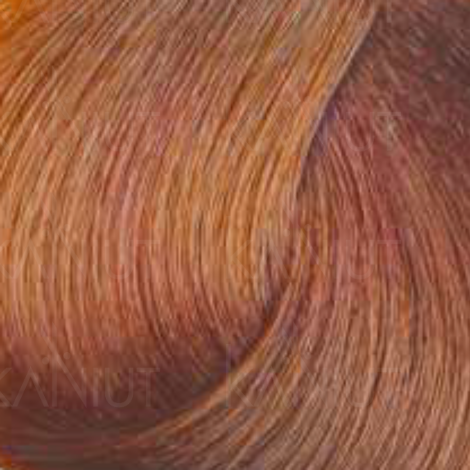 FAIPA ROMA SICURA PROFESSIONAL Creme Color farba do włosów 120 ml | 9.43 - 2