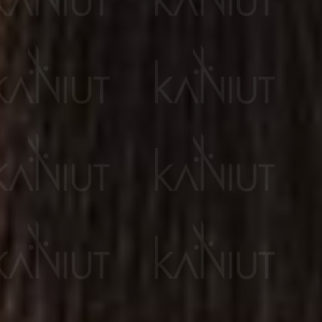 ALTER EGO FAST COLOR 10 MINUT trwała farba krem koloryzujący 100 ml | 5/0 - 2