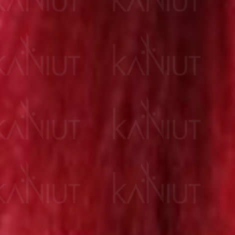 ALTER EGO FAST COLOR 10 MINUT trwała farba krem koloryzujący 100 ml | 6/64 - 2