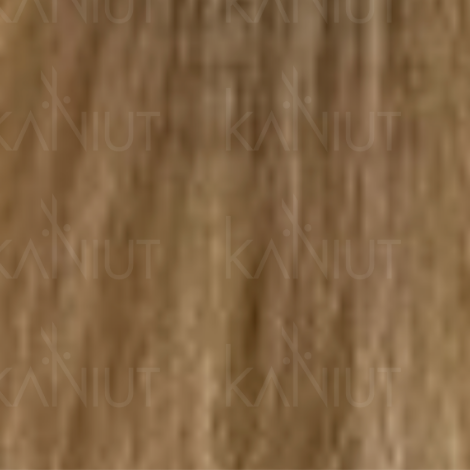 ALTER EGO FAST COLOR 10 MINUT trwała farba krem koloryzujący 100 ml | 8/0 - 2