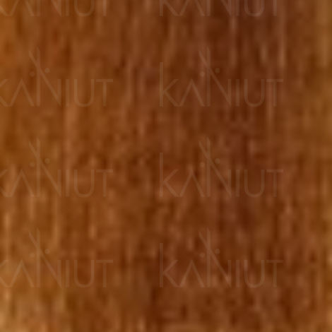 ALTER EGO FAST COLOR 10 MINUT trwała farba krem koloryzujący 100 ml | 8/3 - 2