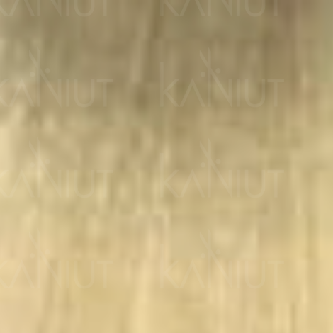 ALTER EGO MY COLOR trwała farba do włosów bez amoniaku 100 ml | 11/0 - 2