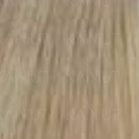 ALTER EGO MY COLOR trwała farba do włosów bez amoniaku 100 ml | 9/23 - 2