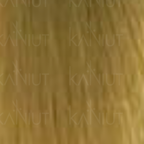 ALTER EGO MY COLOR trwała farba do włosów bez amoniaku 100 ml | 9/31 - 2