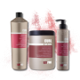 KAYPRO CURL zestaw loki | szampon 1000 ml + odżywka 1000 ml + krem 200 ml - 3