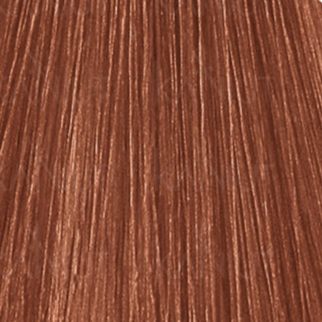 LONDA PROFESSIONAL EXTRA RICH trwała farba do włosów 60 ml | 8/41 - 2