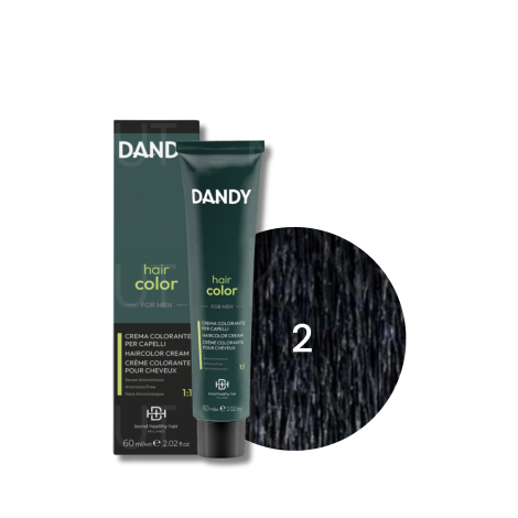 DANDY HAIR COLOR FOR MEN krem koloryzujący odsiwiacz 60 ml | Cover 2