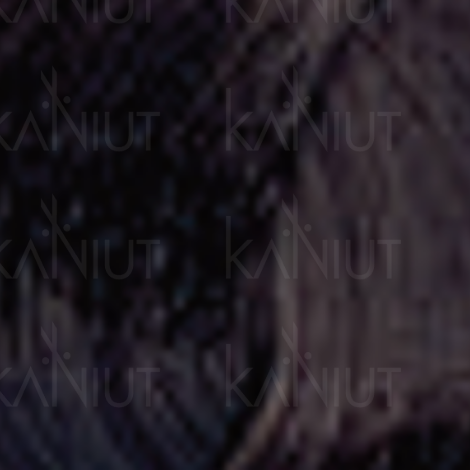 ENVIE HAIR COLOR profesjonalna trwała farba do włosów 100 ml | 4.03 - 2