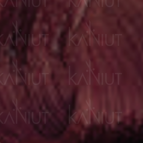 ENVIE HAIR COLOR profesjonalna trwała farba do włosów 100 ml | 7.46 - 2