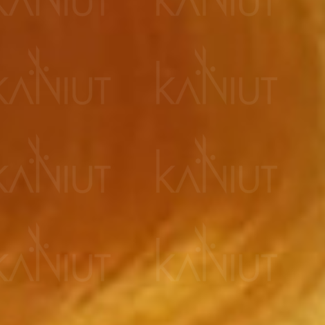 VERSUM EASY TECH profesjonalna trwała farba do włosów 100 ml | 0.3 - 2