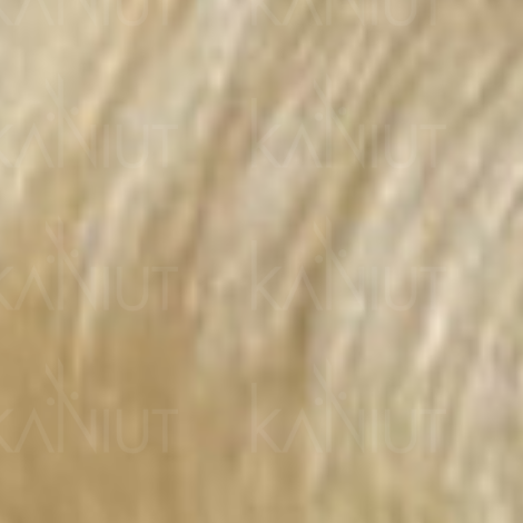 VERSUM EASY TECH profesjonalna trwała farba do włosów 100 ml | 11.30 - 2