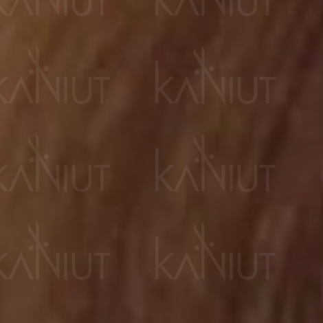 VERSUM EASY TECH profesjonalna trwała farba do włosów 100 ml | 8.3 - 2