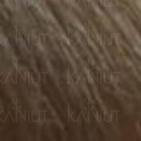 VERSUM EASY TECH profesjonalna trwała farba do włosów 100 ml | 9.01 - 2