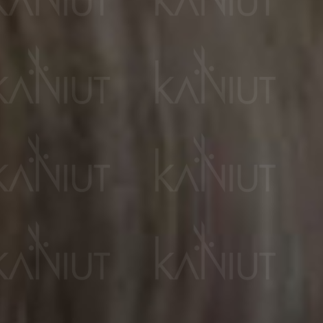 VERSUM EASY TECH trwała farba do włosów bez amoniaku 100 ml | 8.1 - 2