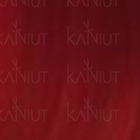 VERSUM EASY TECH trwała farba do włosów bez amoniaku 100 ml | Red - 2