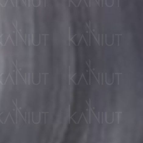 VERSUM EASY TECH trwała farba do włosów bez amoniaku 100 ml | Silver - 2