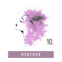 FUNKY COLOR toner odżywka koloryzująca w kremie 100 ml | 10 Heather - 3
