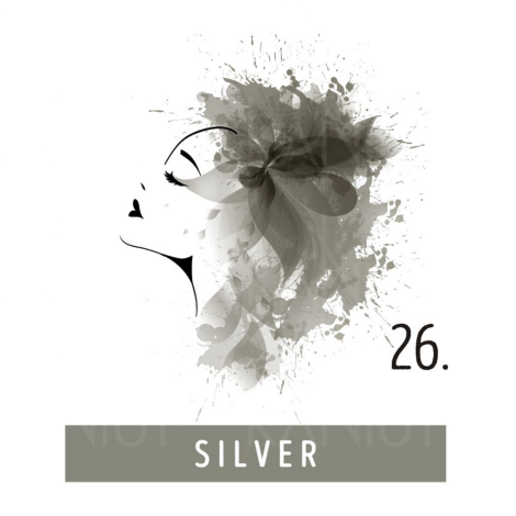 FUNKY COLOR toner odżywka koloryzująca w kremie 100 ml | 26 Silver - 2
