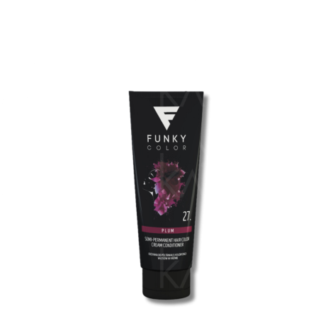 FUNKY COLOR toner odżywka koloryzująca w kremie 100 ml | 27 Plum
