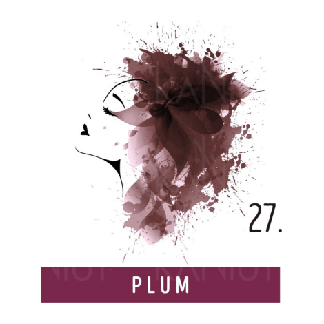 FUNKY COLOR toner odżywka koloryzująca w kremie 100 ml | 27 Plum - 2